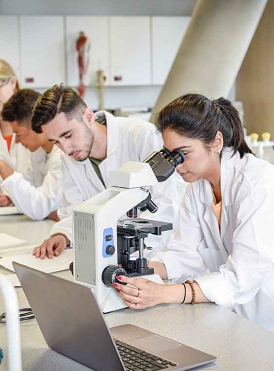 Experts Testing in labs