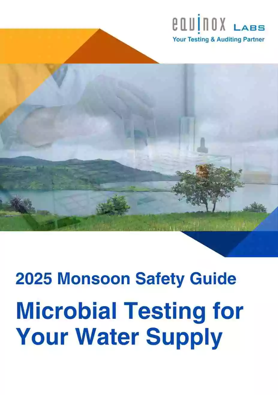 2025 Monsoon safety guide for homes and workplaces