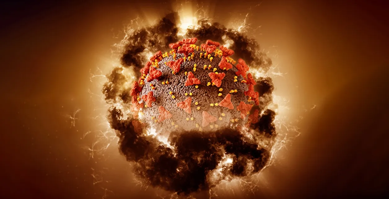 microorganism image