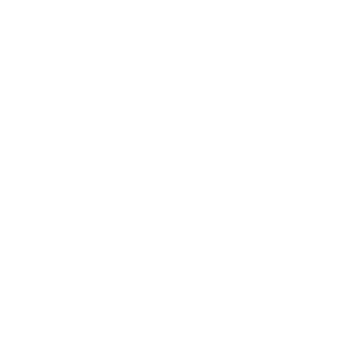 Have Fun While Serving Others-Icon