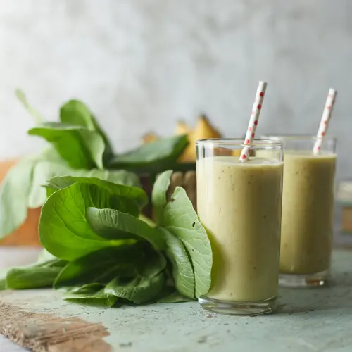 Plant-Based Beverage Producers