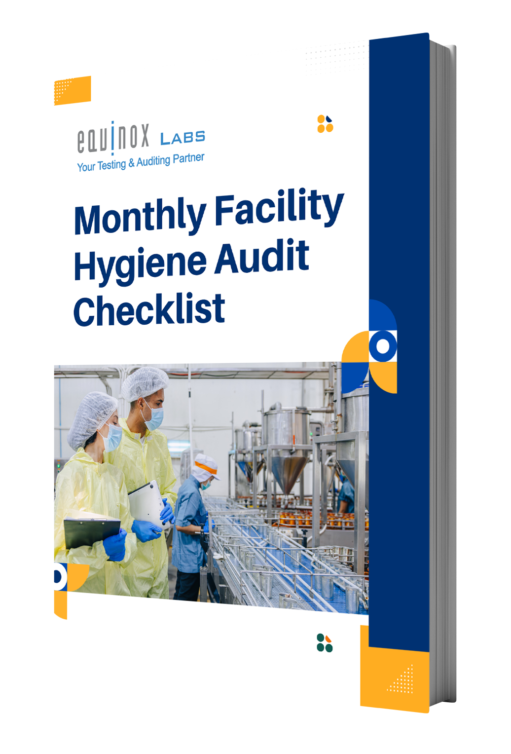 Monthly Hygiene Audits 