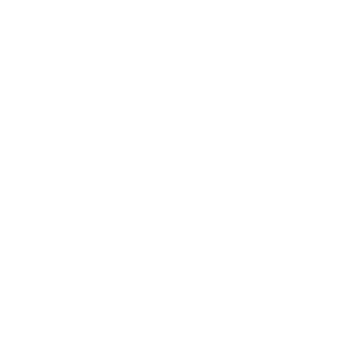 Audit-Icon